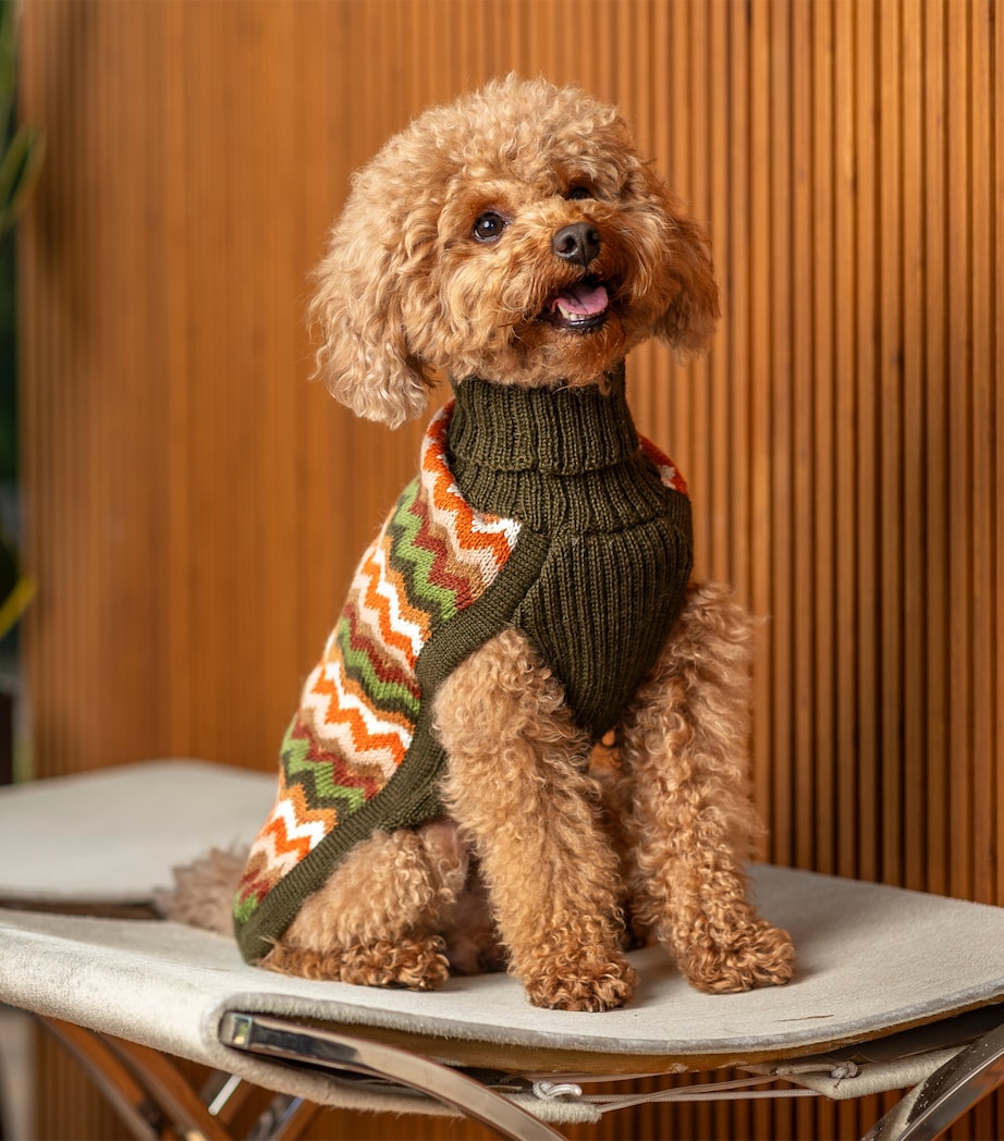 Alpaca-Blend Forest Chevron Dog Sweater GREEN Image 4