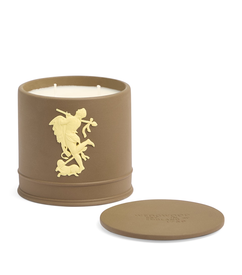 Bacchus Vigour Candle (540g)