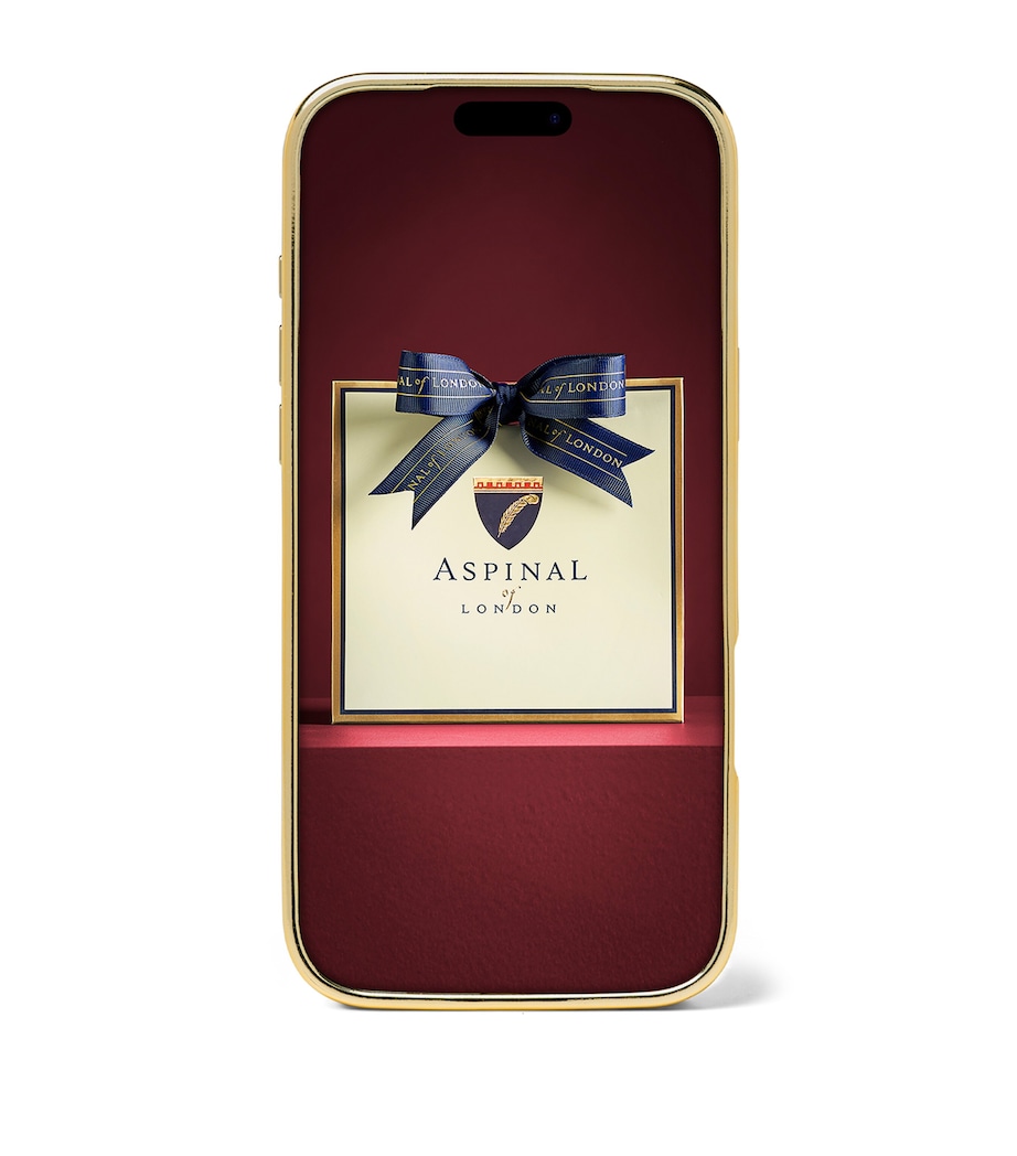 Aspinal Of London Leather iPhone 17 Pro Max Case Cherry Image 2