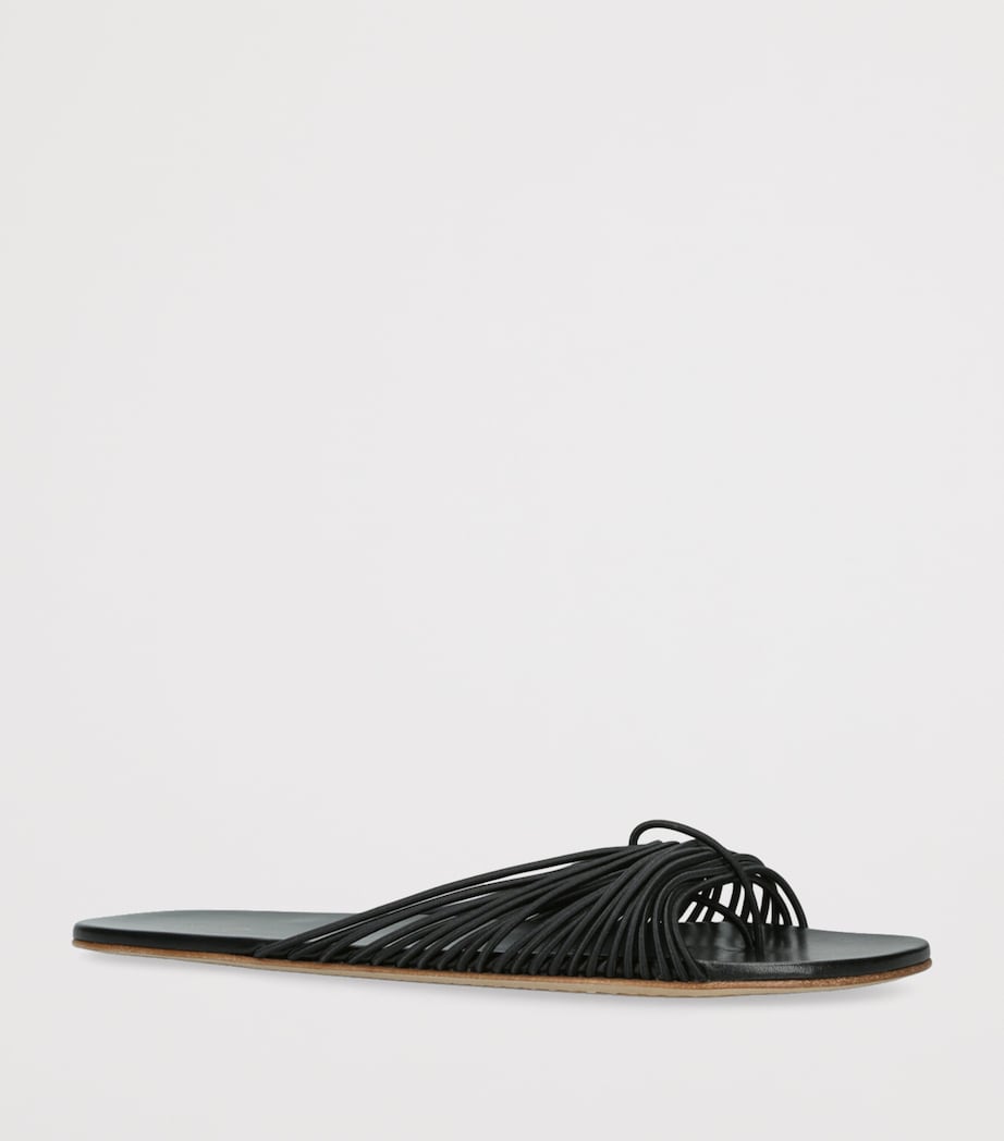 Elastic Sara Sandals BLACK Image 3