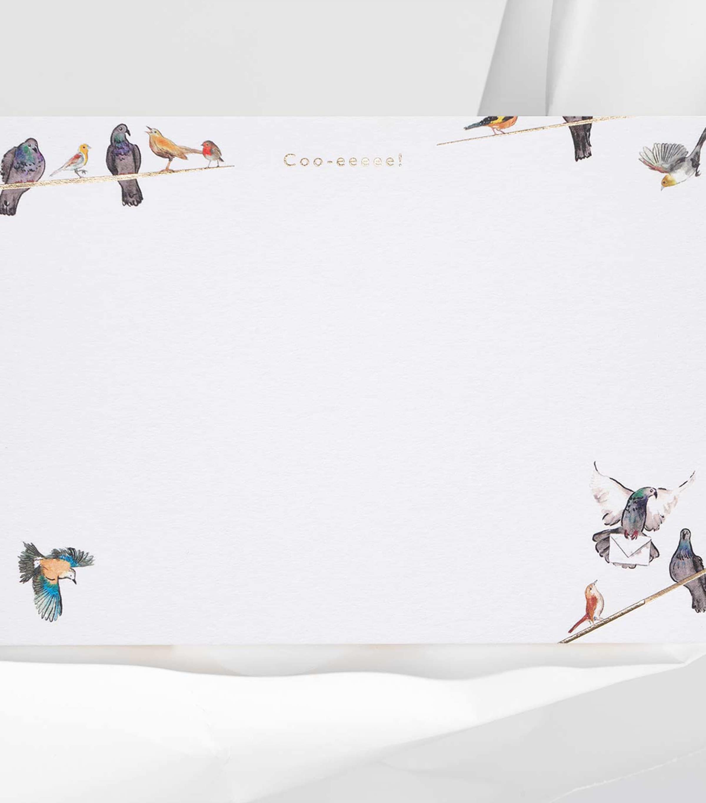 Coo-eeeee A6 Notecards (Set of 12) MULTI Image 3