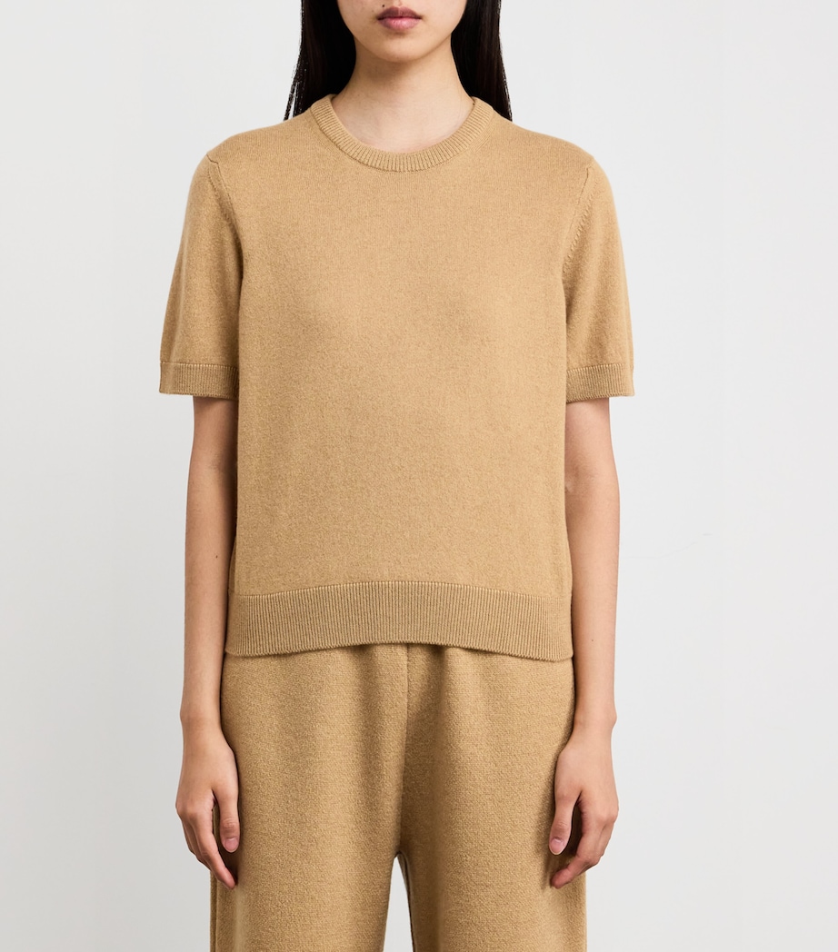 Cashmere Short-Sleeve Sweater HB4404 CAMEL Image 3