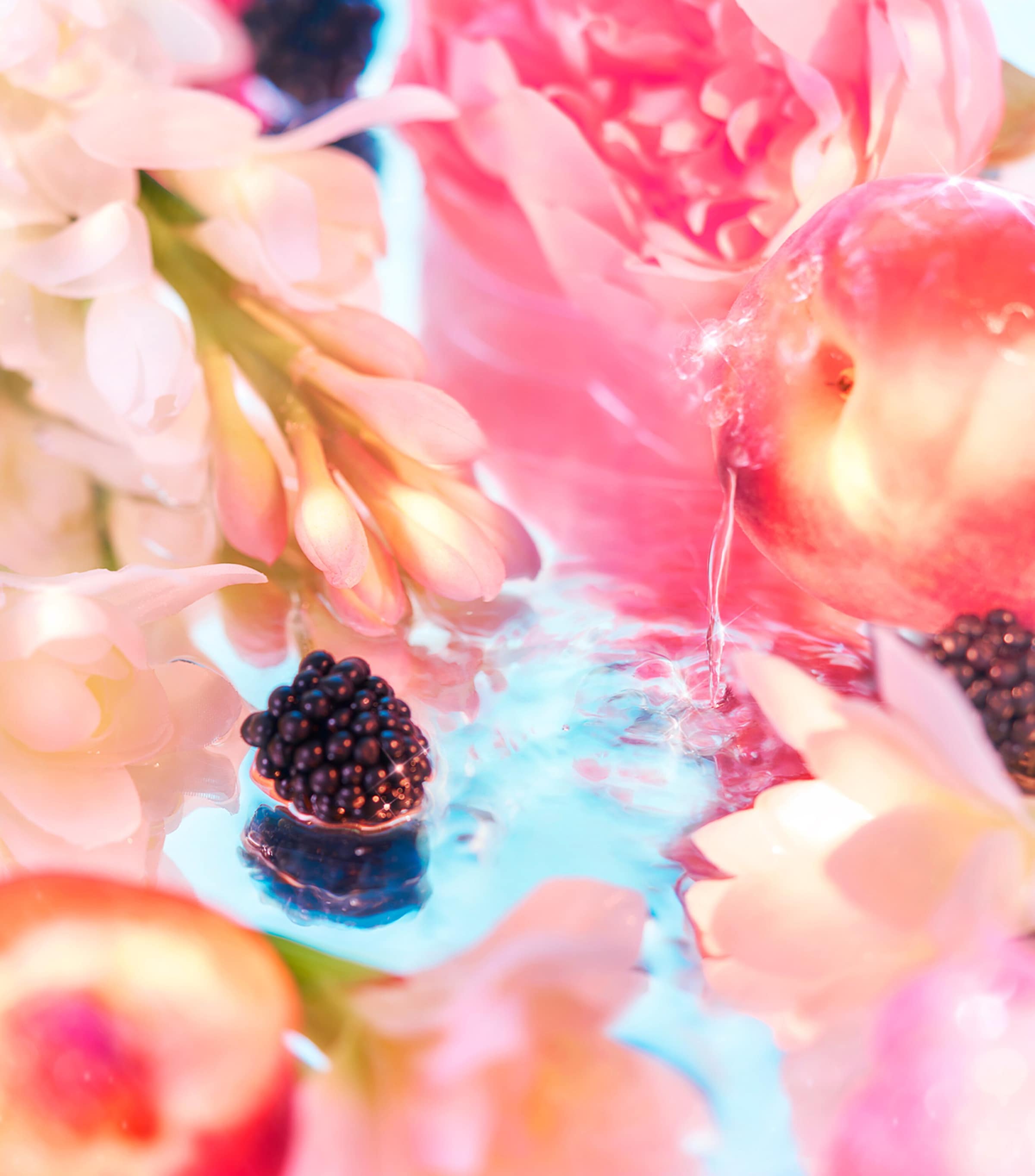 Elysium Pour Femme Eau de Parfum Fragrance Gift Set (75ml) NO COLOUR Image 2