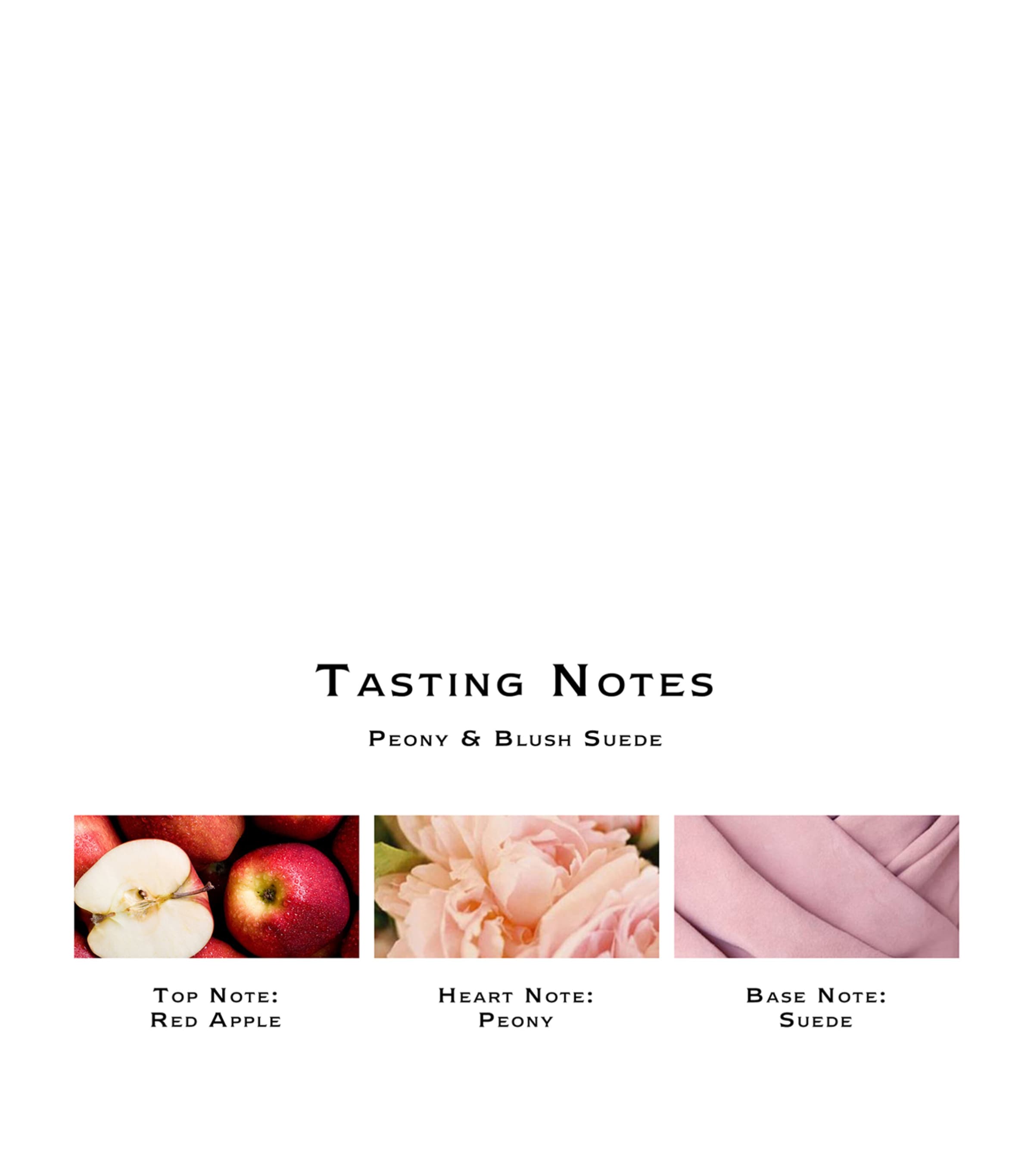 Peony and Blush Suede Body and Hand Wash (250ml) NO COLOUR Image 4