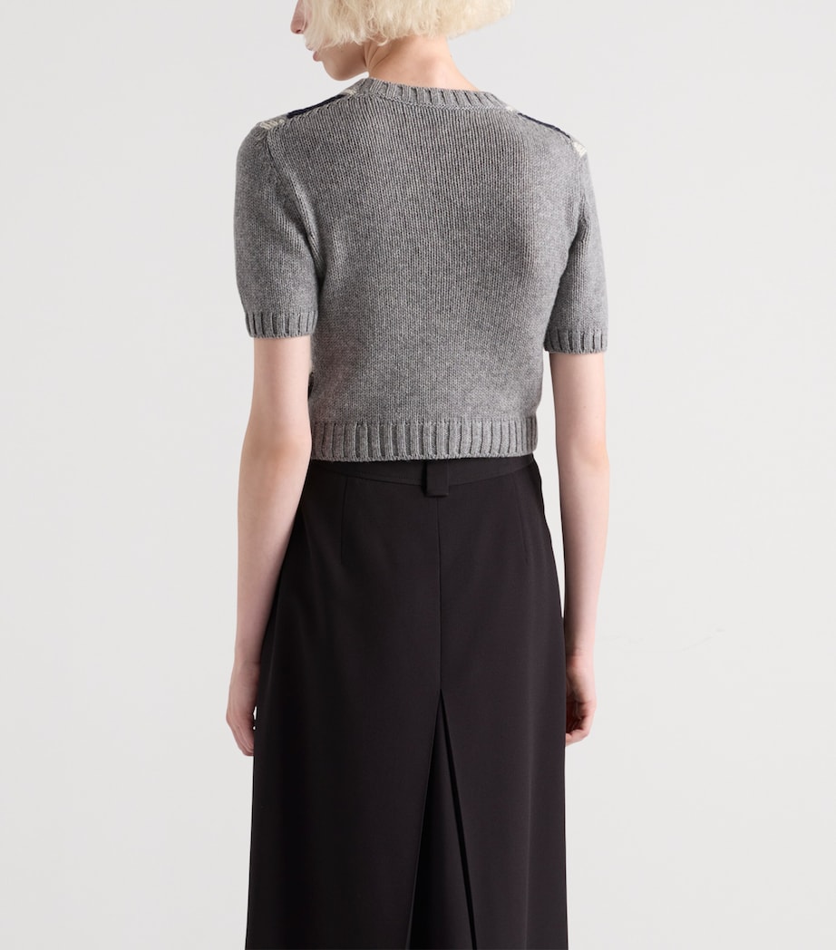 Cashmere Argyle Short-Sleeve Sweater F0031 Image 5