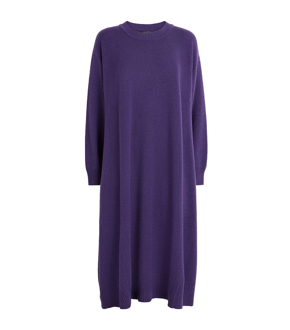 Eskandar Womens Cashmere A-Line Sweater Dress Tincture Image 1