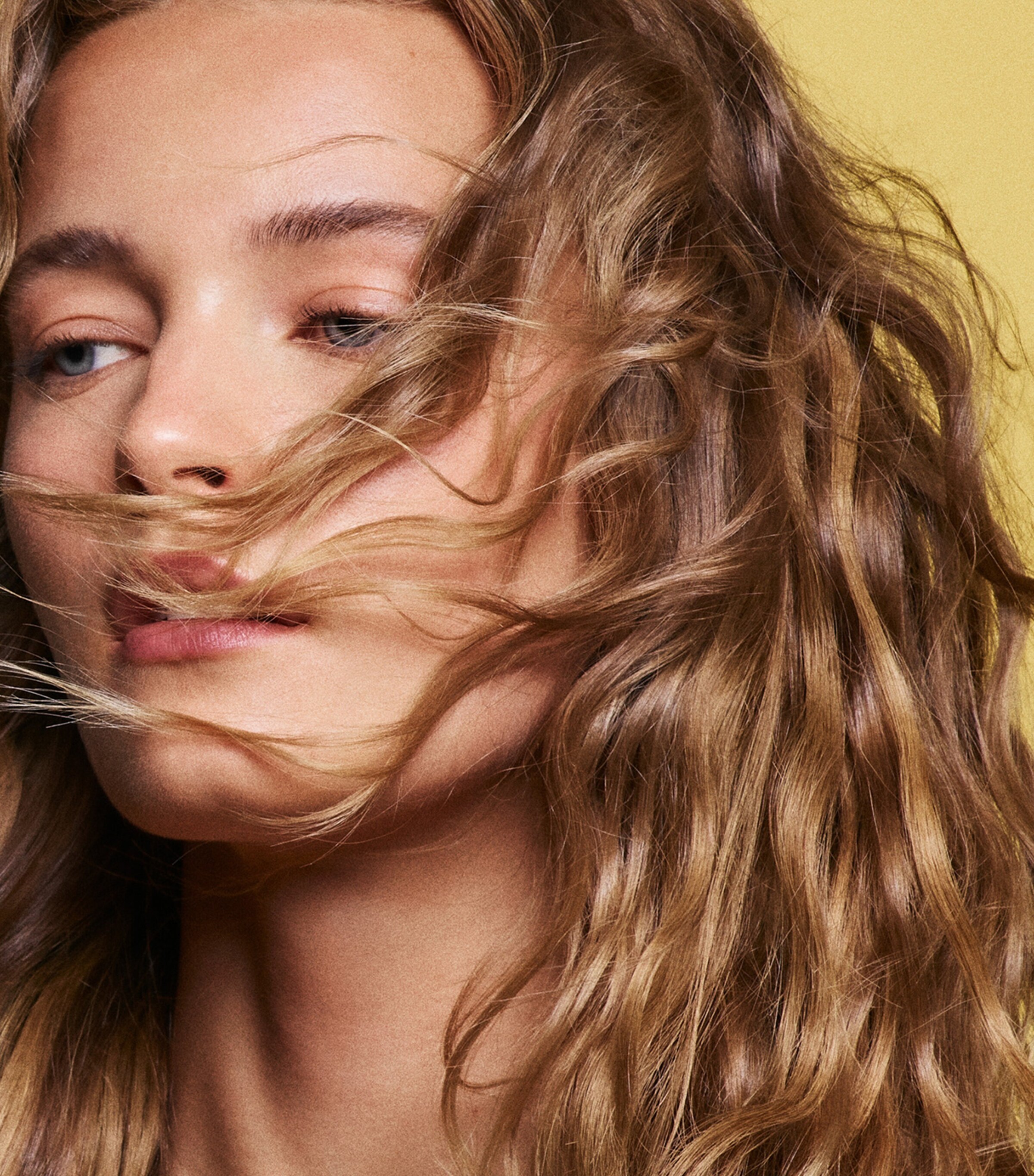 Hair Alchemy Shampoo (1L) NO COLOUR Image 4