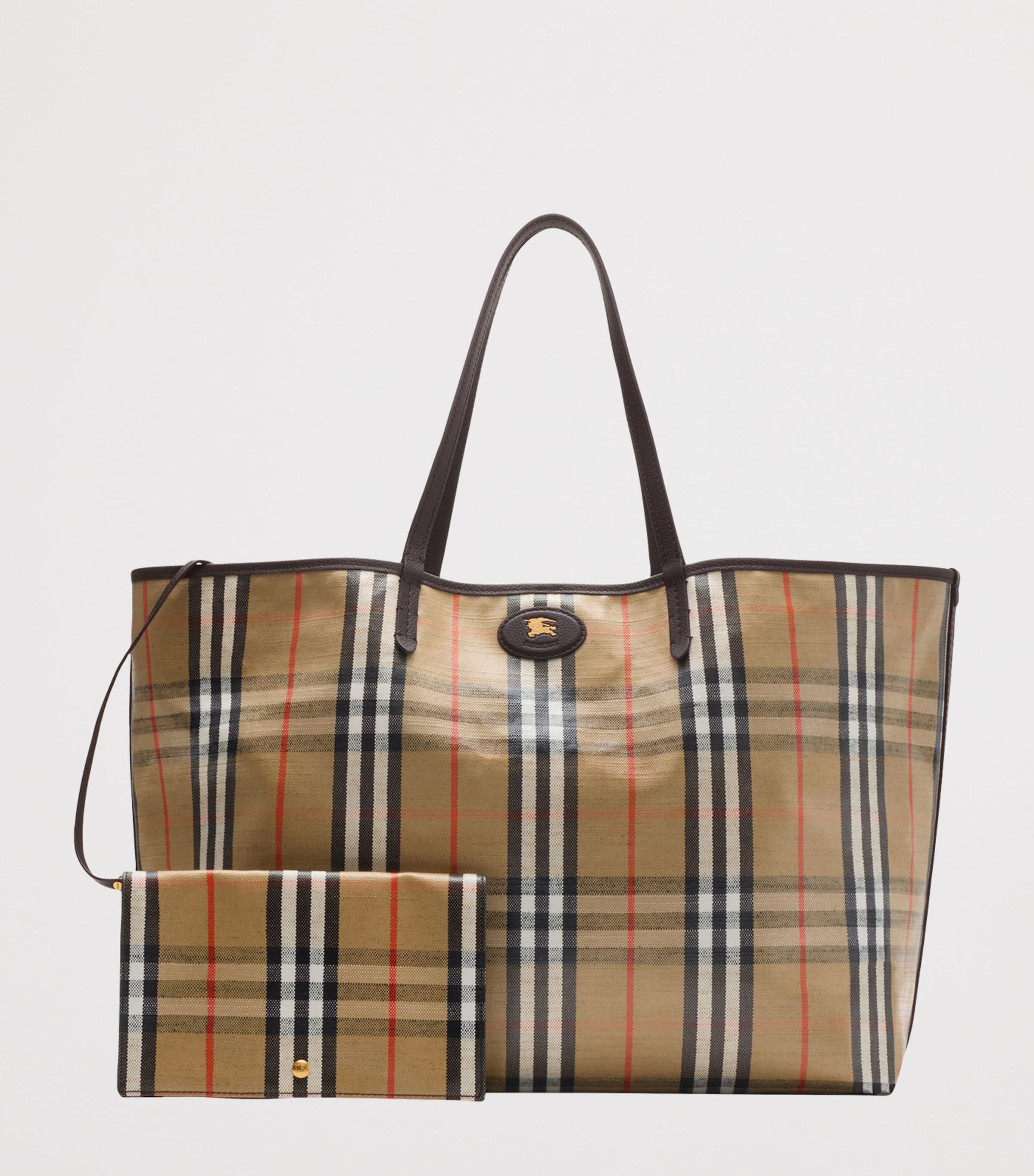 Large Canvas Highlands Tote Bag SAND Image 6