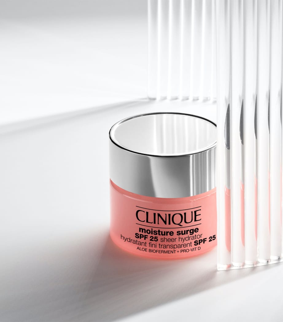 Moisture Meets SPF Skincare Set SPF 25 NO COLOUR Image 3