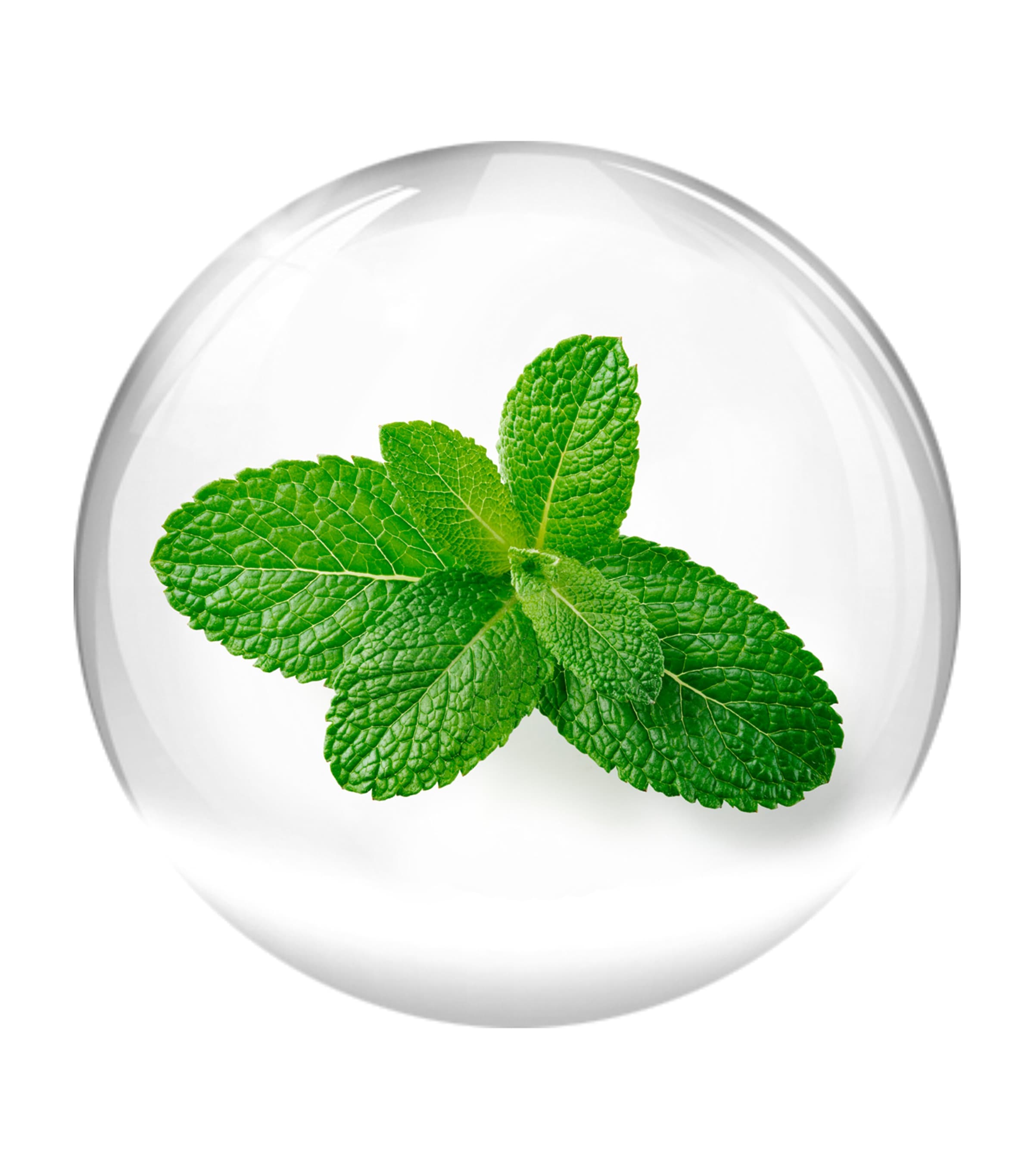 Vital Contour Cream (15ml) NO COLOUR Image 4