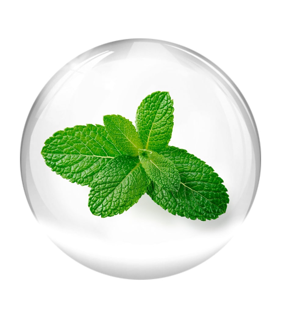 Vital Contour Cream (15ml) NO COLOUR Image 4