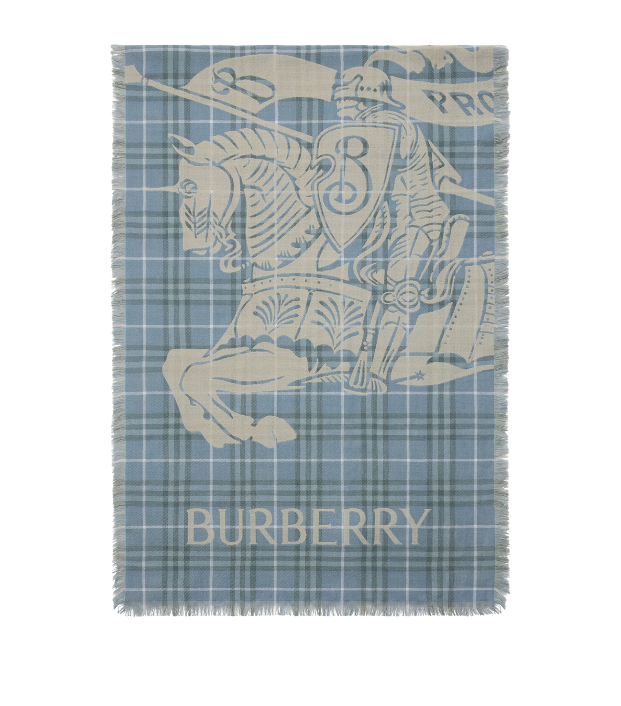 Burberry Ekd Check Wool Scarf In Blue