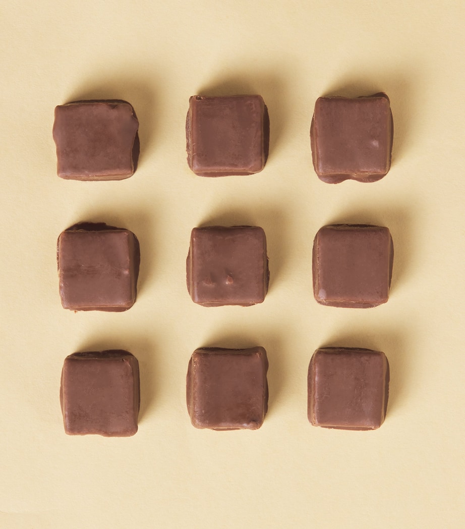 Chocolate-Enrobed Salted Caramel Fudge (125g) NO COLOUR Image 3