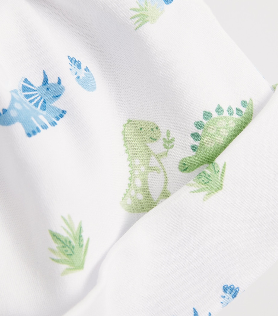 Pima Cotton Dinosaur Era Hat K999MULTI Image 3