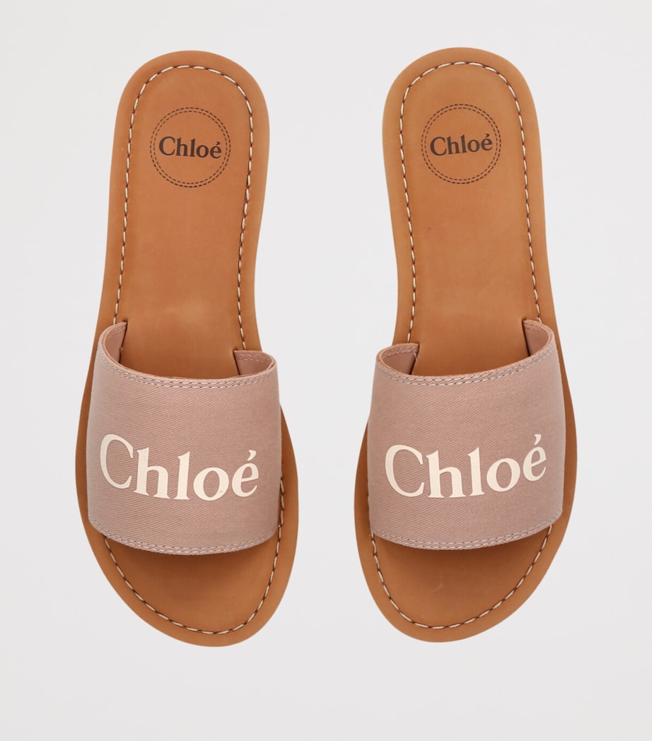 Canvas Logo Slides PALE PINK Image 4