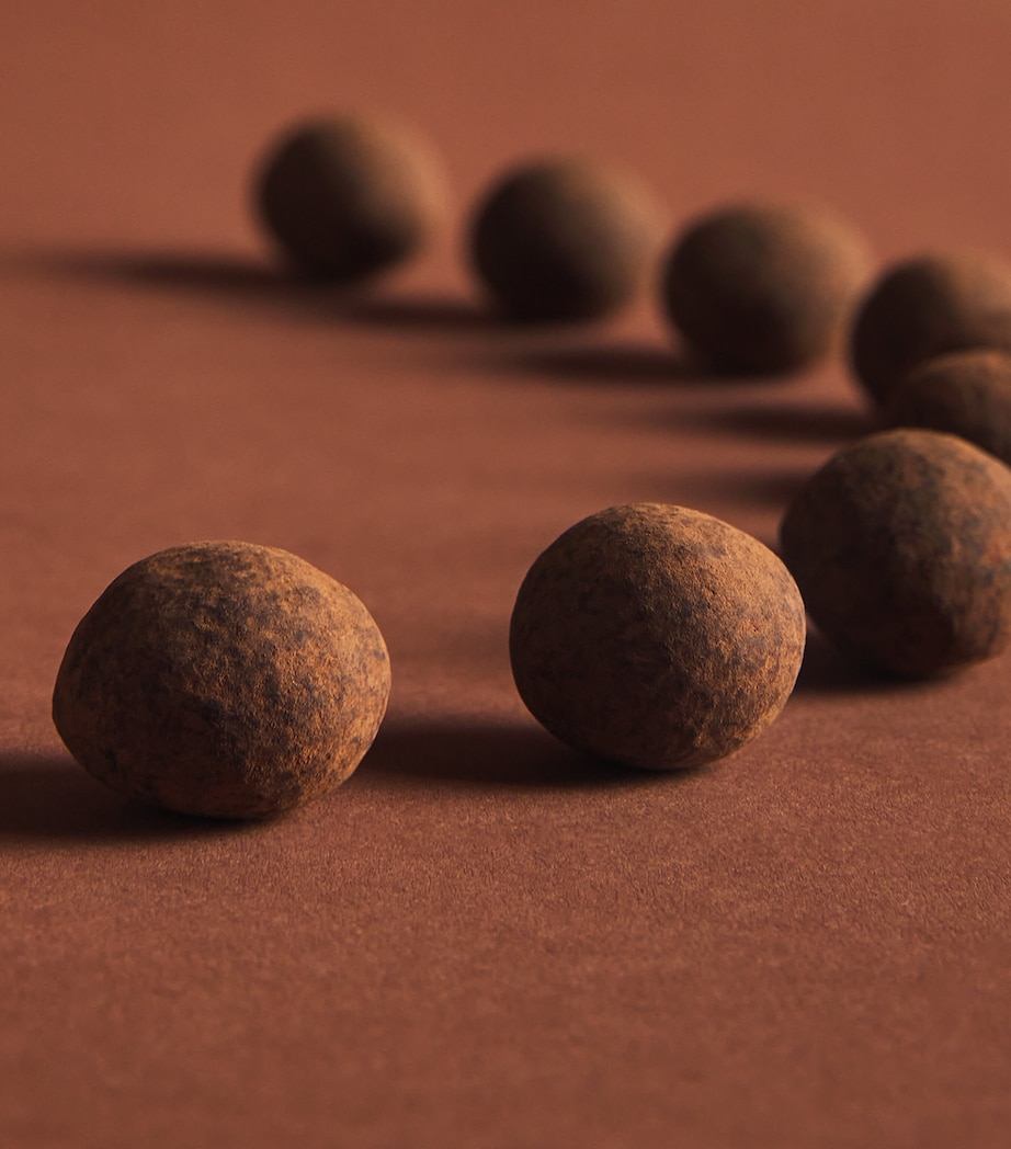 Harrods Cocoa-Dusted Macadamia Nuts (290g) Image 3