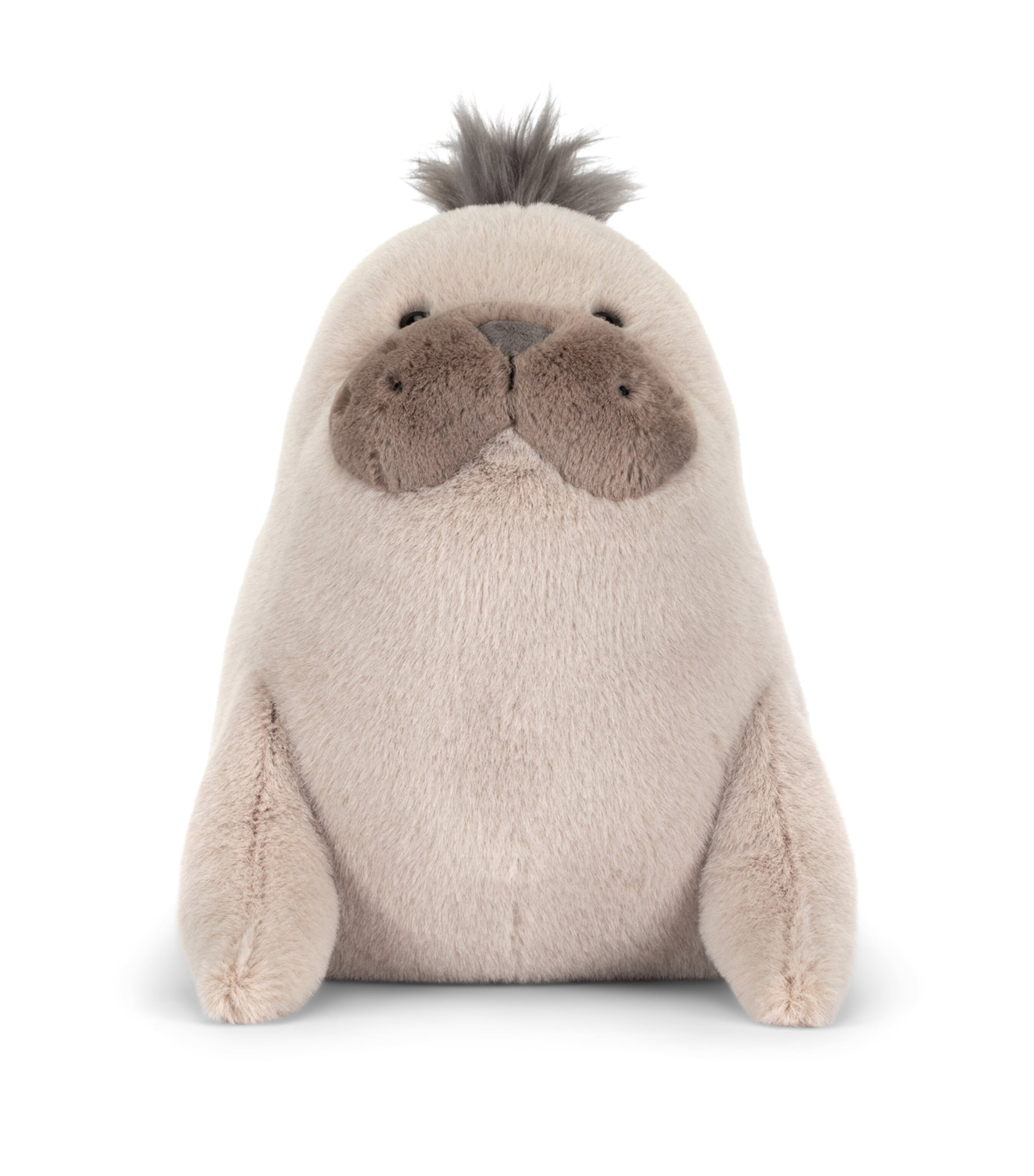 Jellycat Roarwell Sea Lion (20cm) Image 4