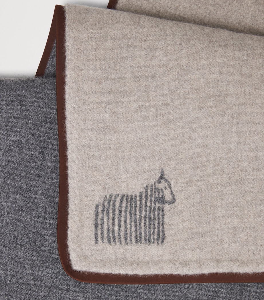 Colombo Cashmere Nubuck-Trim Scarf Greige Image 4