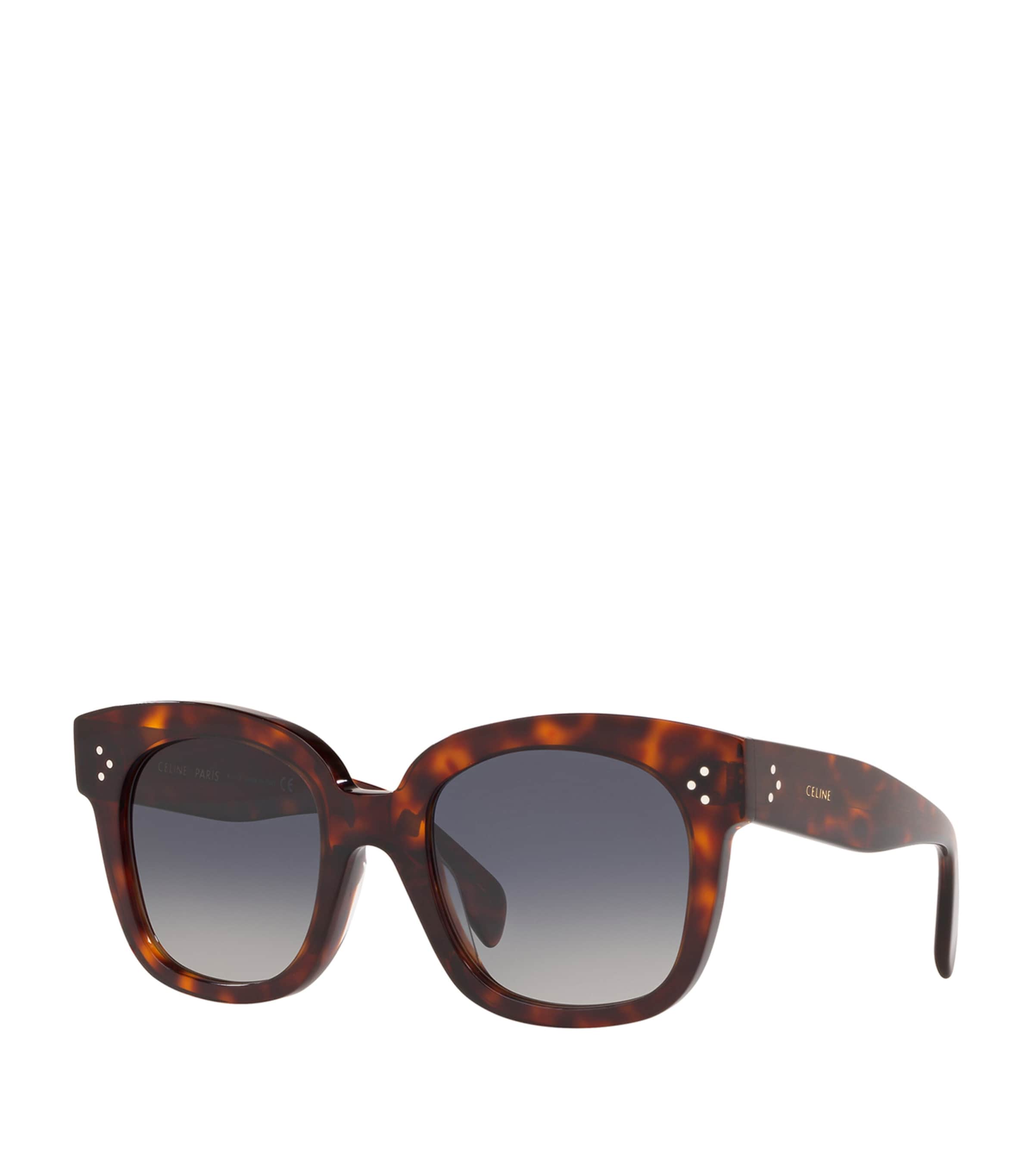 Celine Acetate 0CL000193 Sunglasses Image 2