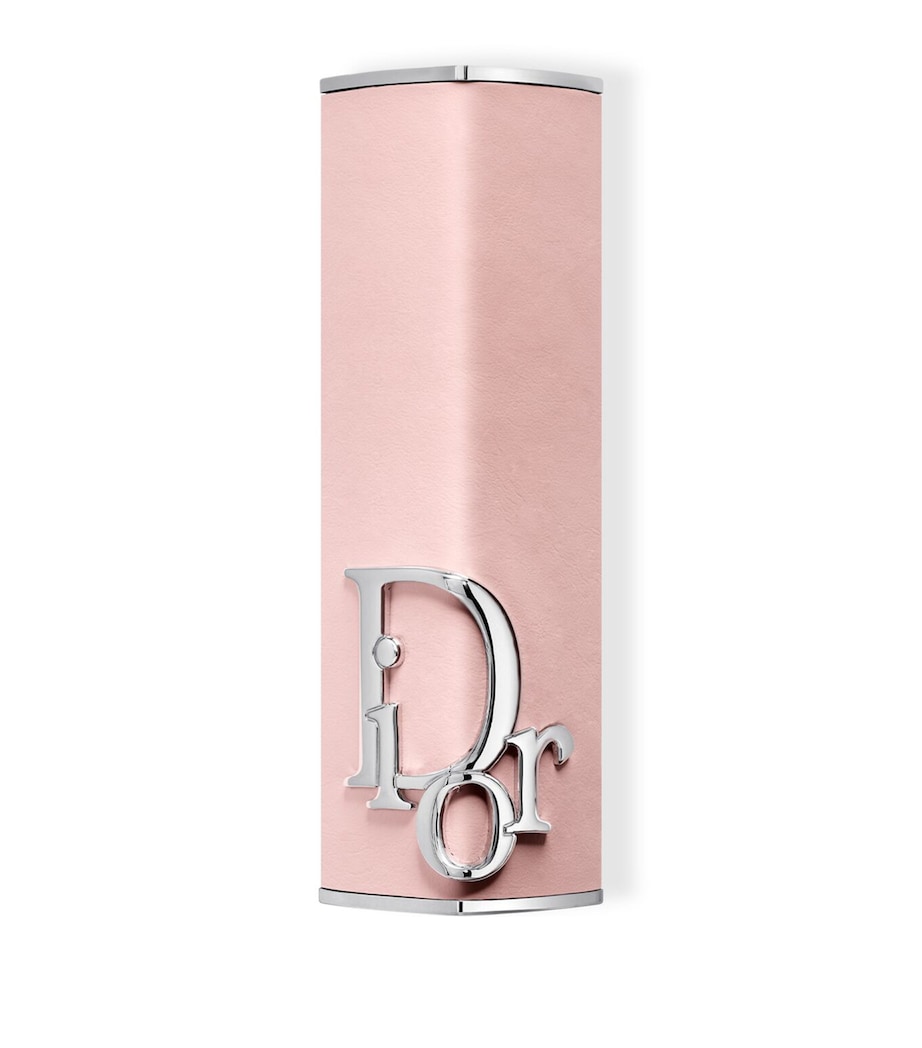 DIOR Dior Addict Shine Lipstick Case Rose Montaigne Image 1