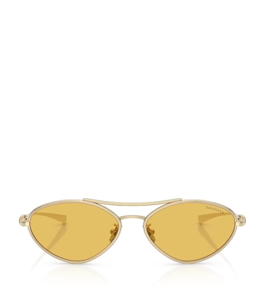 Tiffany & Co. Metal Irregular TF3117 Sunglasses Image 1