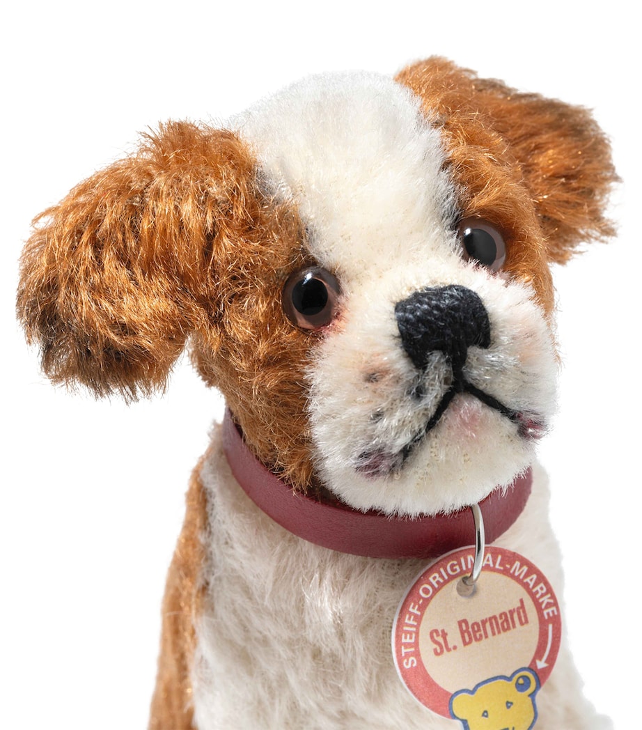 St. Bernard Replica 1934 MULTI Image 4