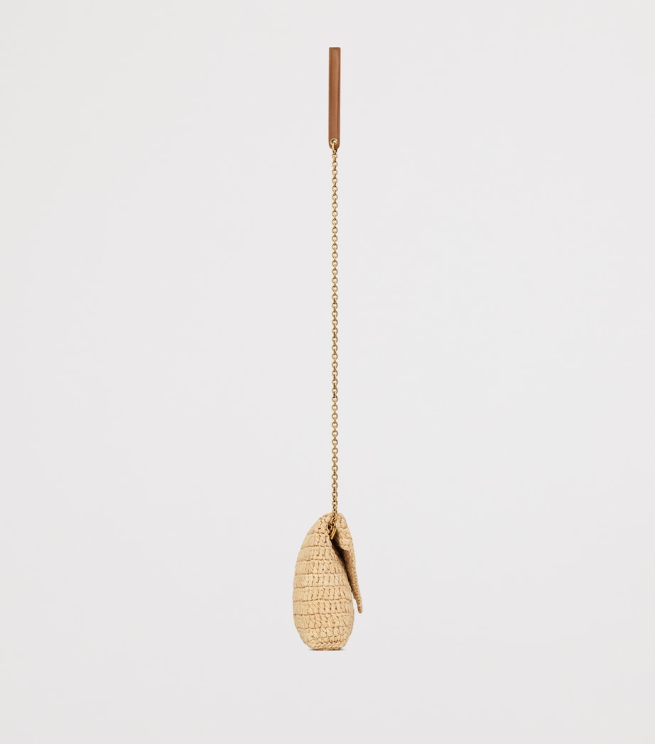 Raffia Cassandre Pouch on Chain 2791 Image 3