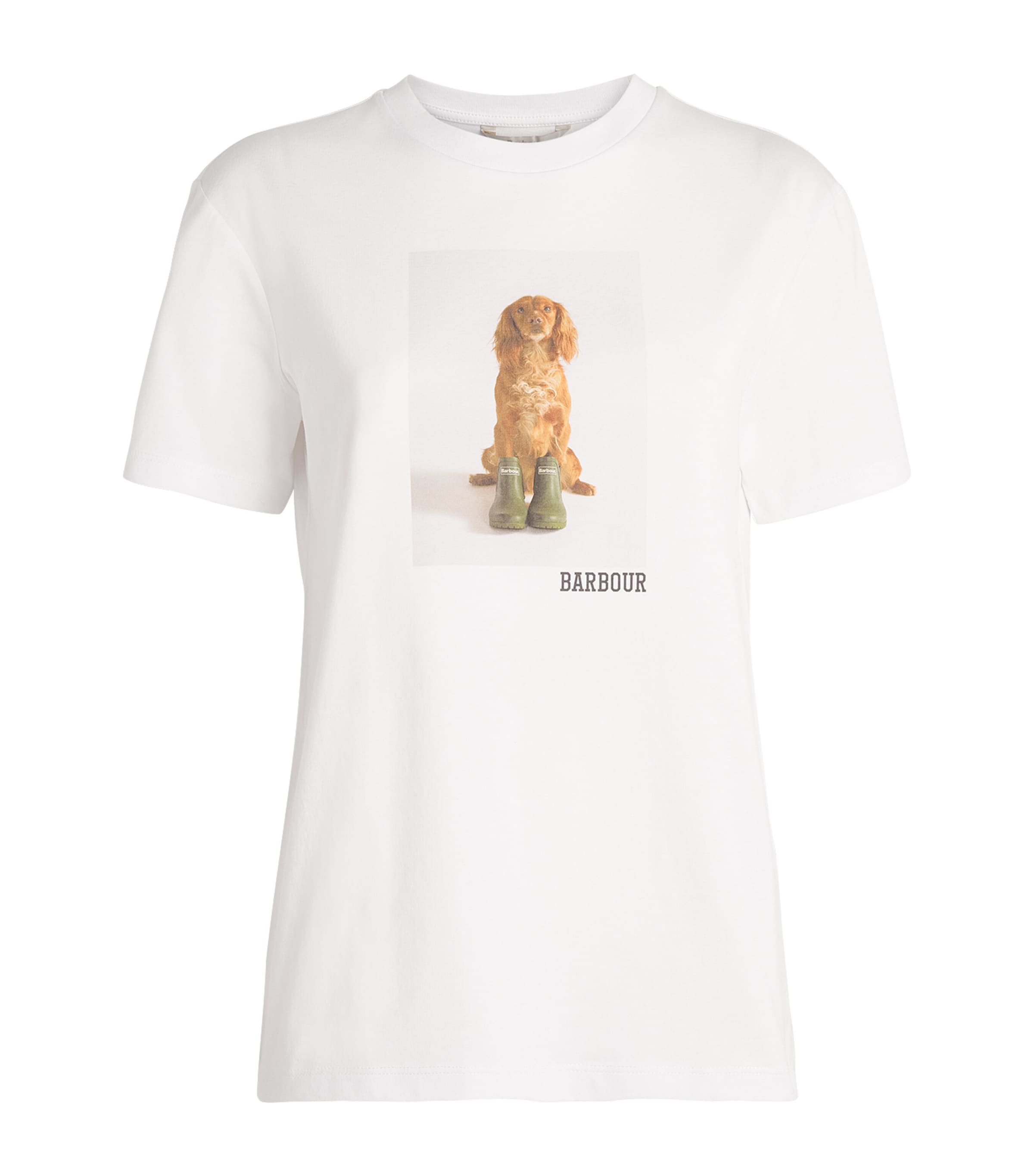 Cotton Bedale T-Shirt WHITE Image 1