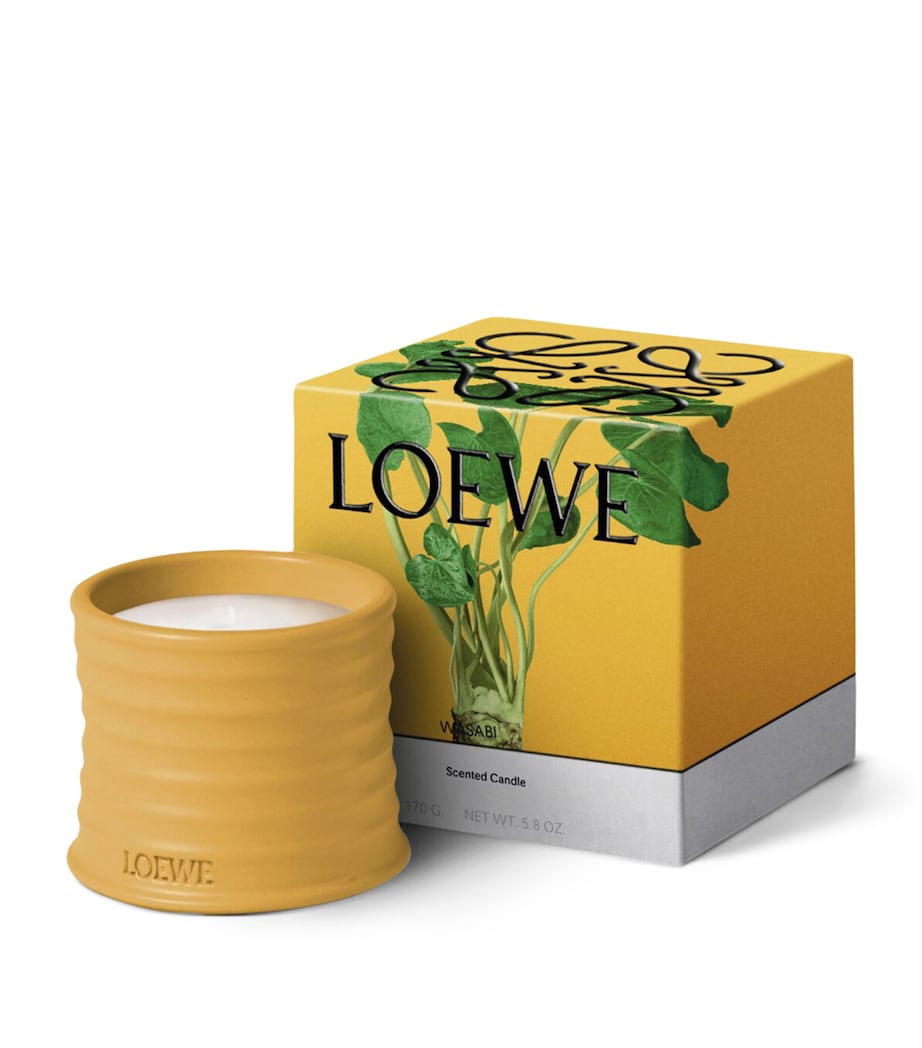 LOEWE Perfumes Small Wasabi Candle (170g) Image 2