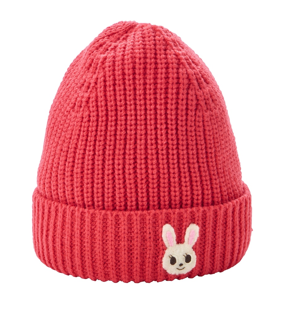 Knitted Felt Character Beanie Hat 75 Image 1