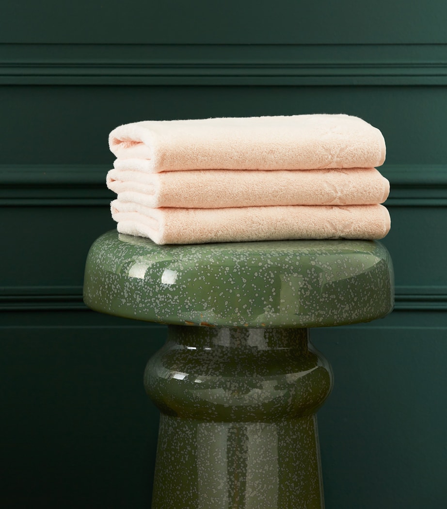 Nature Bath Sheet (90cm x 160cm) POUDRE Image 1
