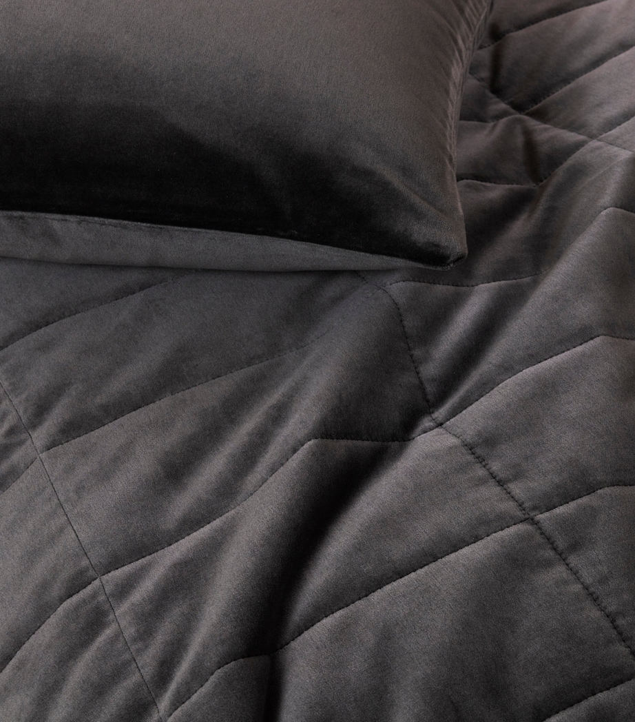 Luxury Velvet Cushion Cover (65cm x 65cm) 0209 - MAHOGANY GREY Image 4