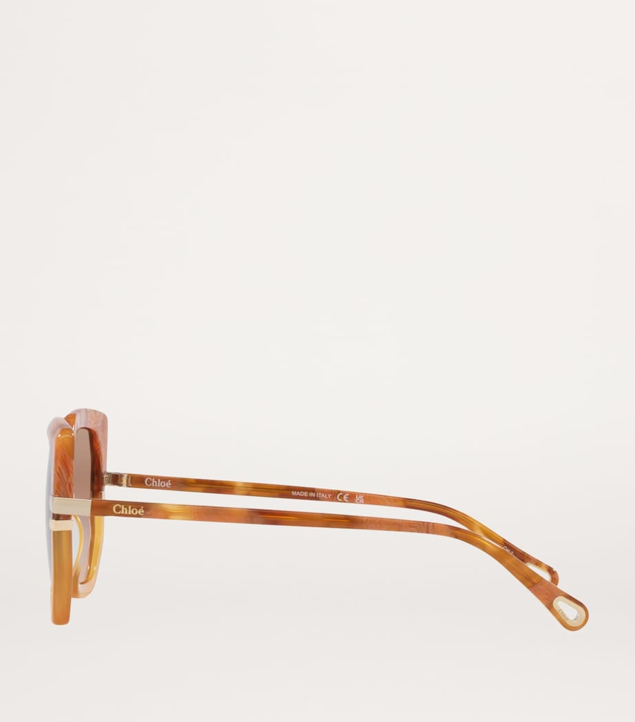 Acetate CH0240S Sunglasses 1800D1 Image 3