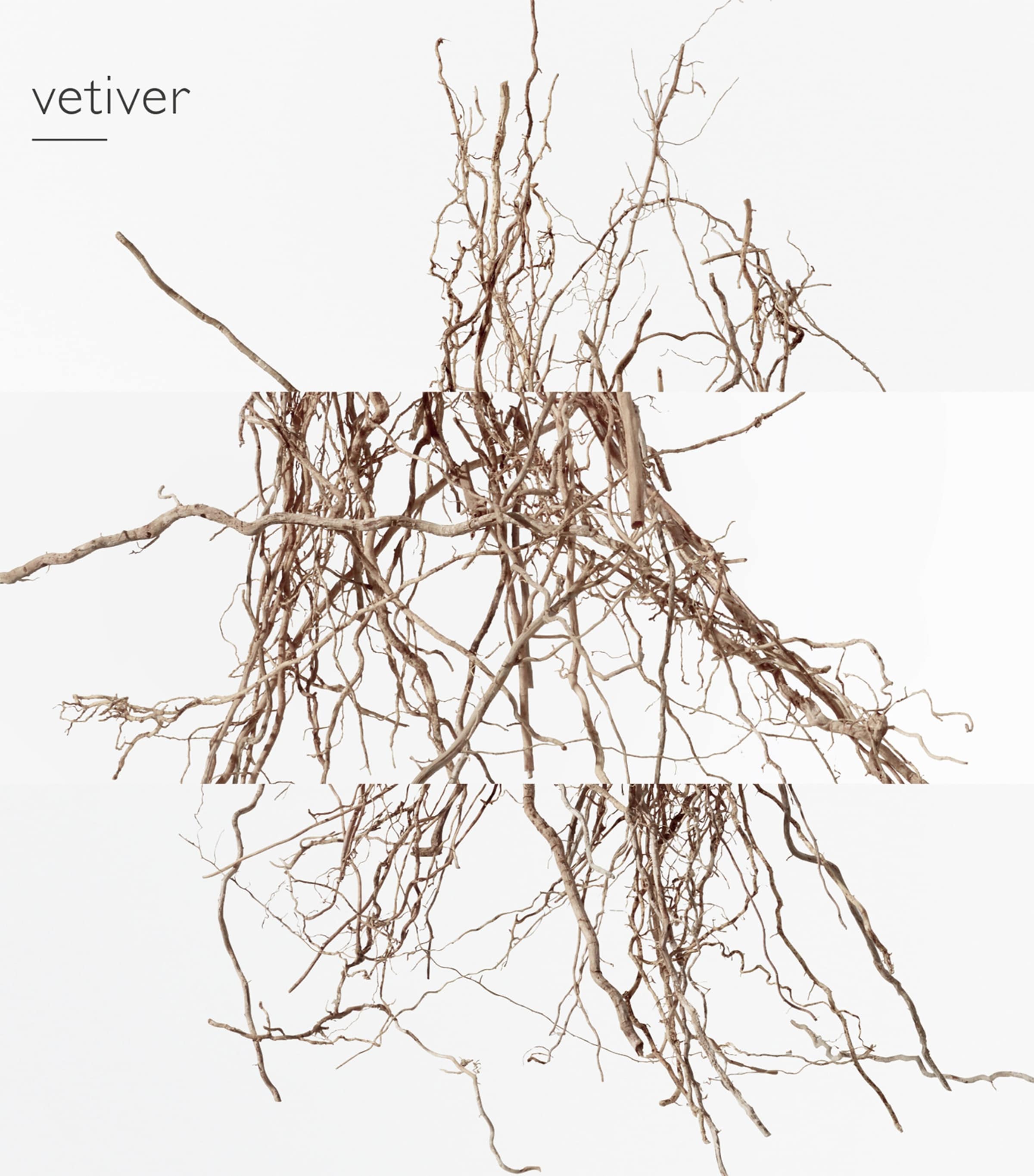 Terre d'Hermès Eau Intense Vétiver Eau de Parfum (200ml) NO COLOUR Image 1