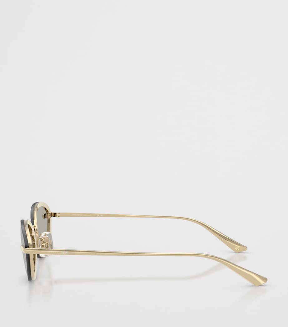 Jimmy Choo Oval Sunglasses Image 3