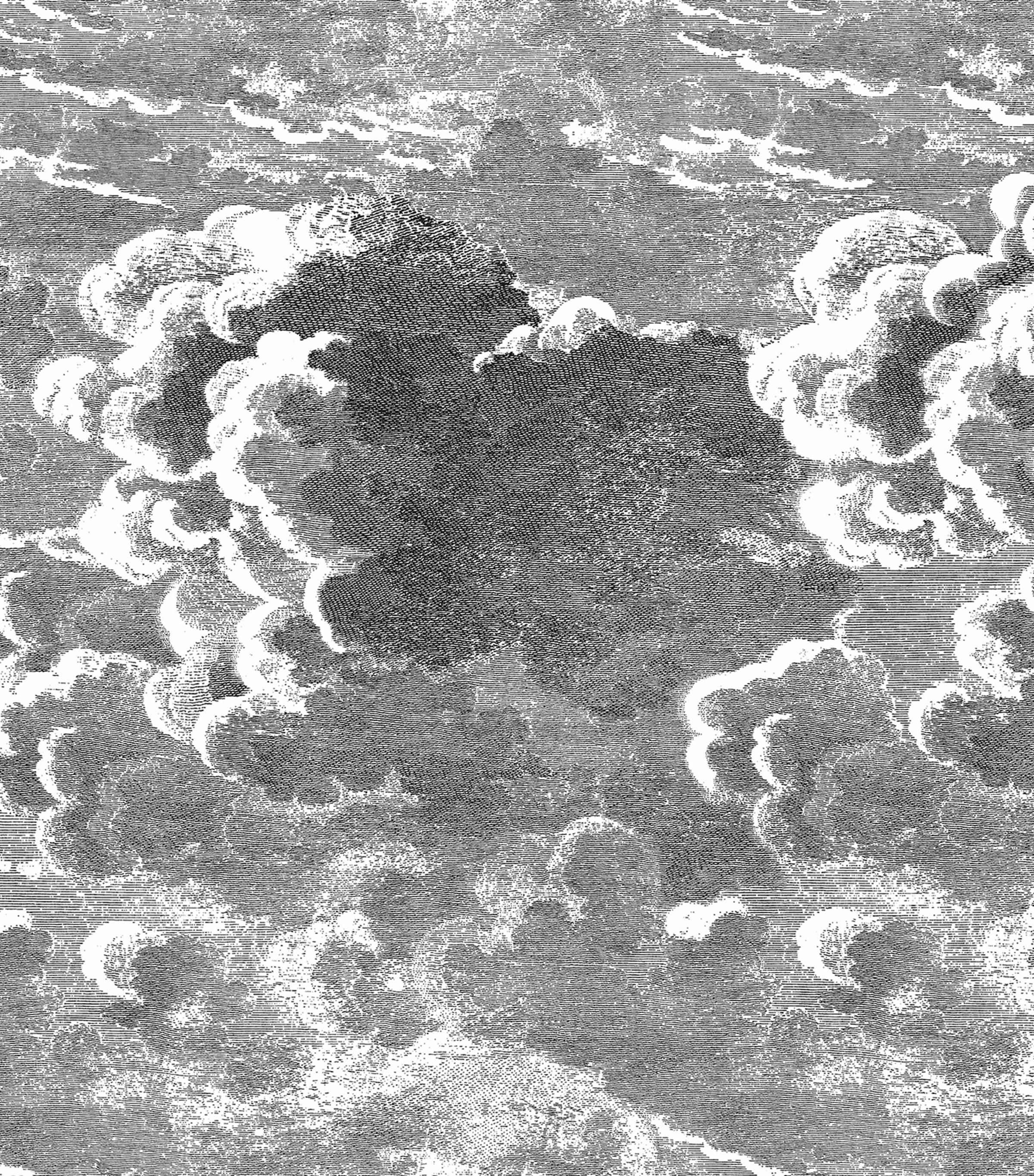 x Fornasetti Set of 2 Nuvolette Wallpaper Rolls BLACK & WHITE Image 1