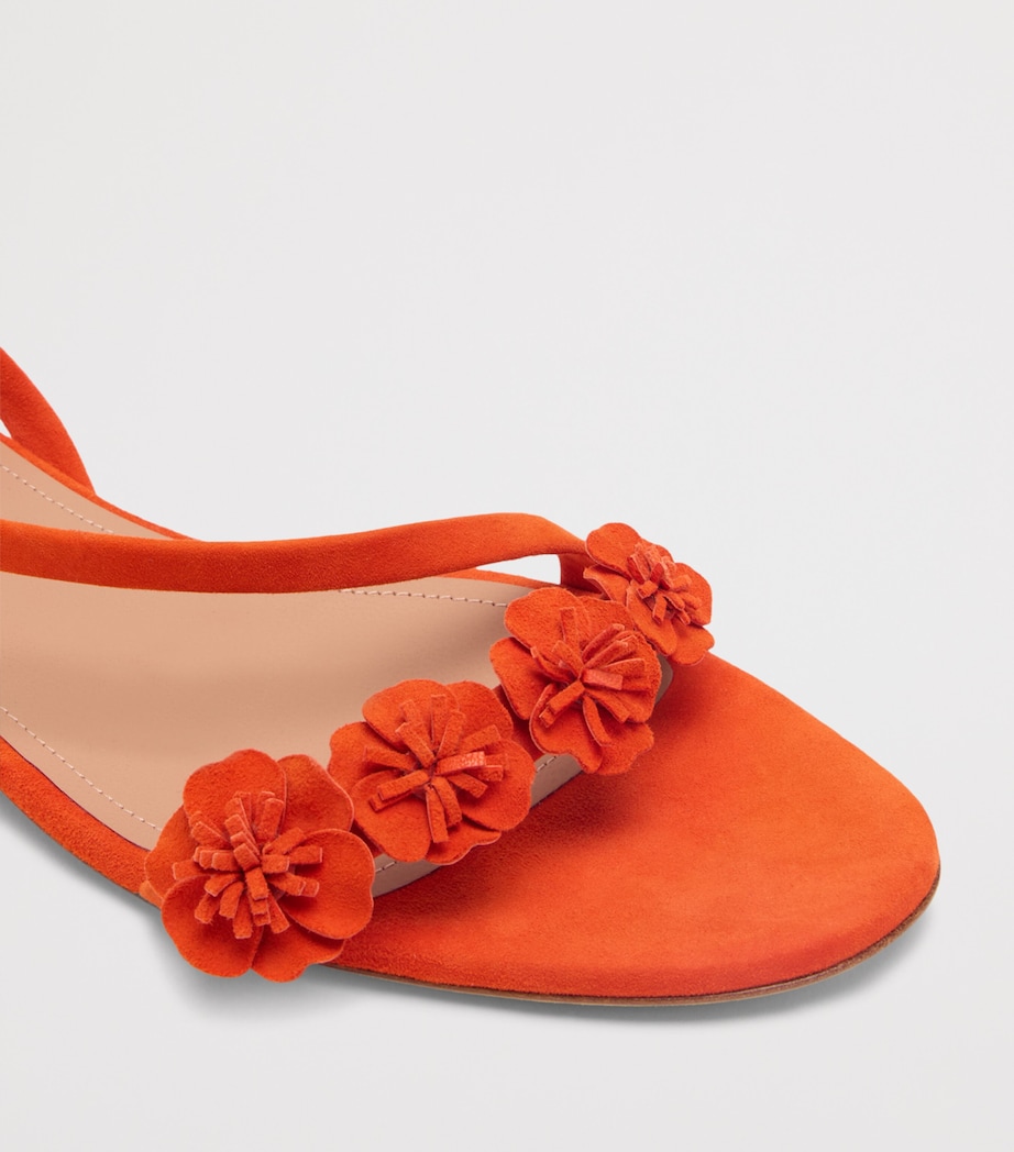 Malone Souliers Suede Serra Sandals Marigold Image 5