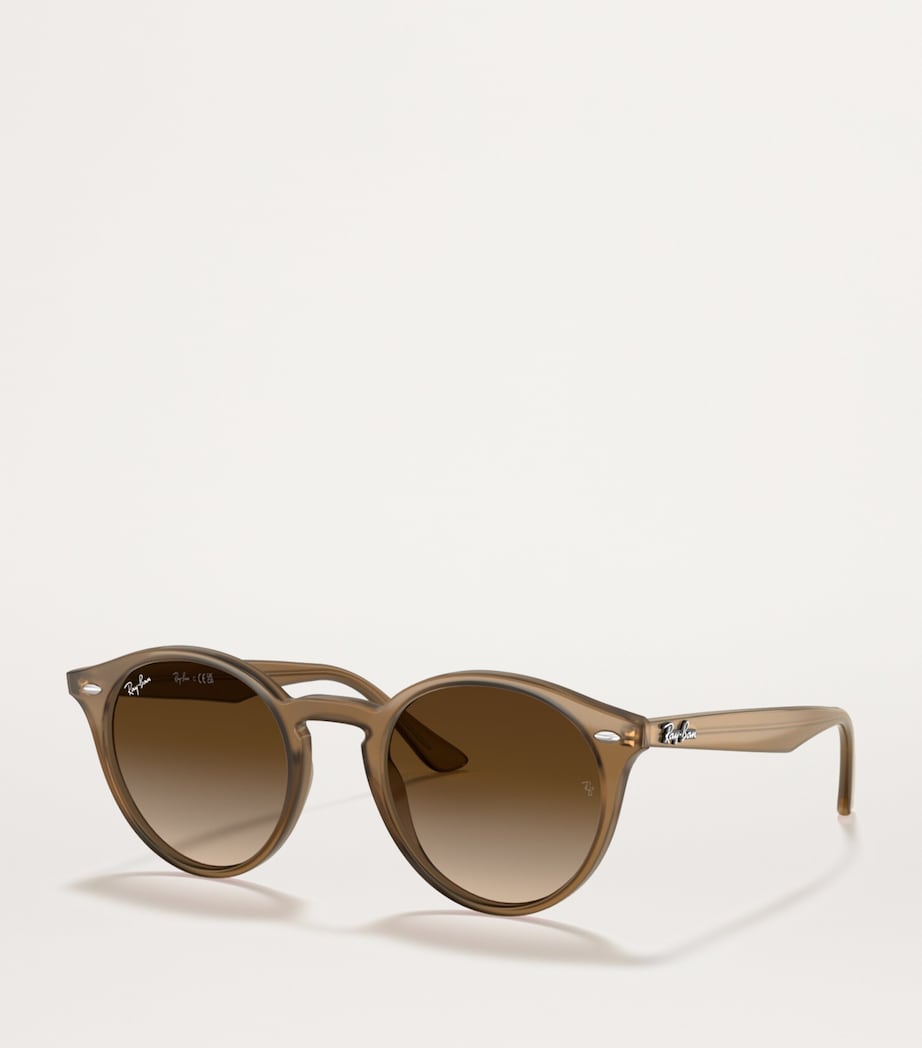 RB2180 Sunglasses BROWN Image 2