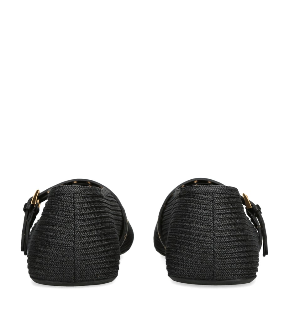 Raffia and Leather Ballet Flats BLACK Image 2