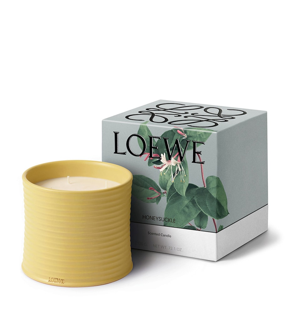 LOEWE Honeysuckle Candle (2.1kg) Image 2