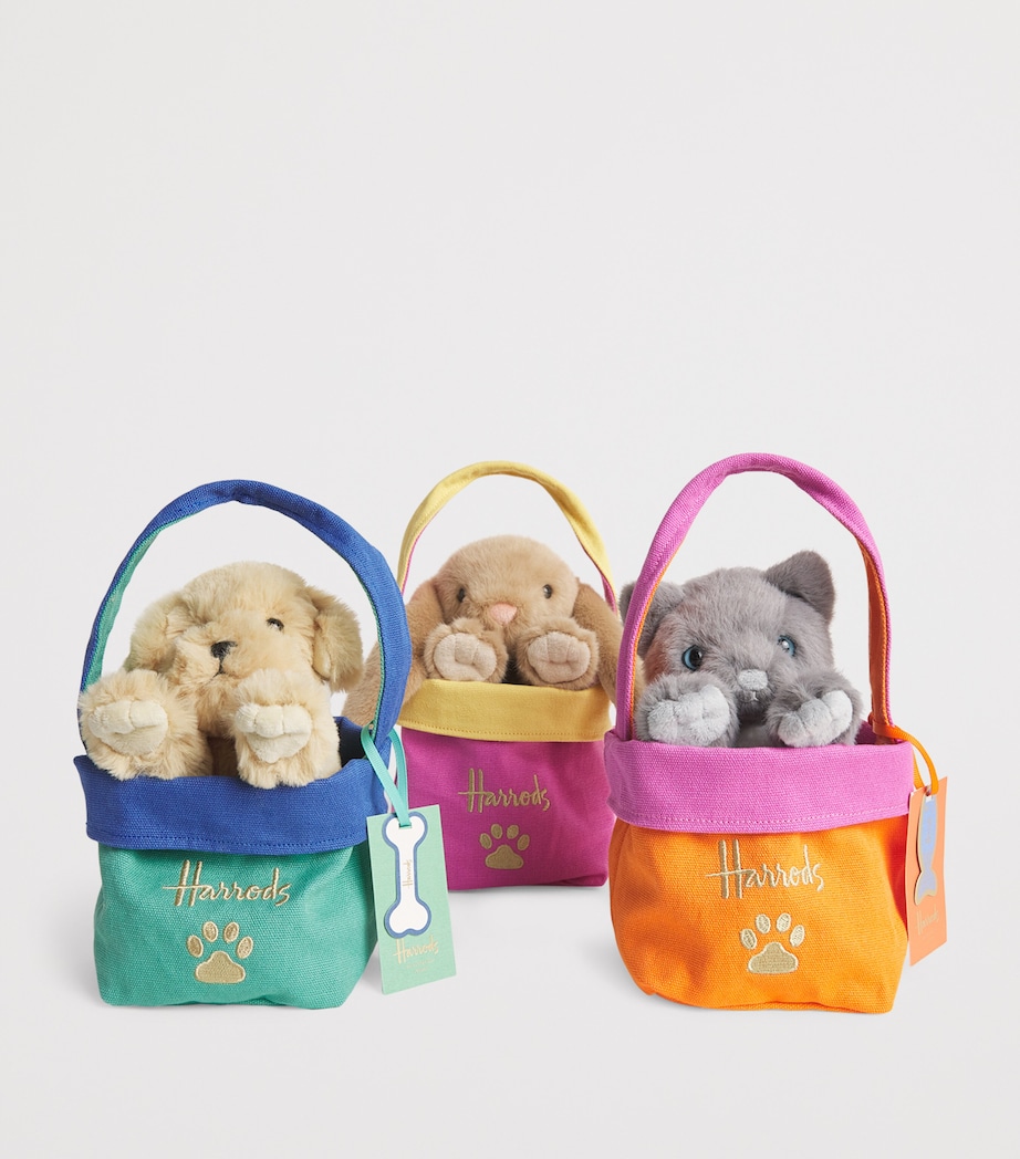 Kitten in a Bag (Small) MULTI Image 2