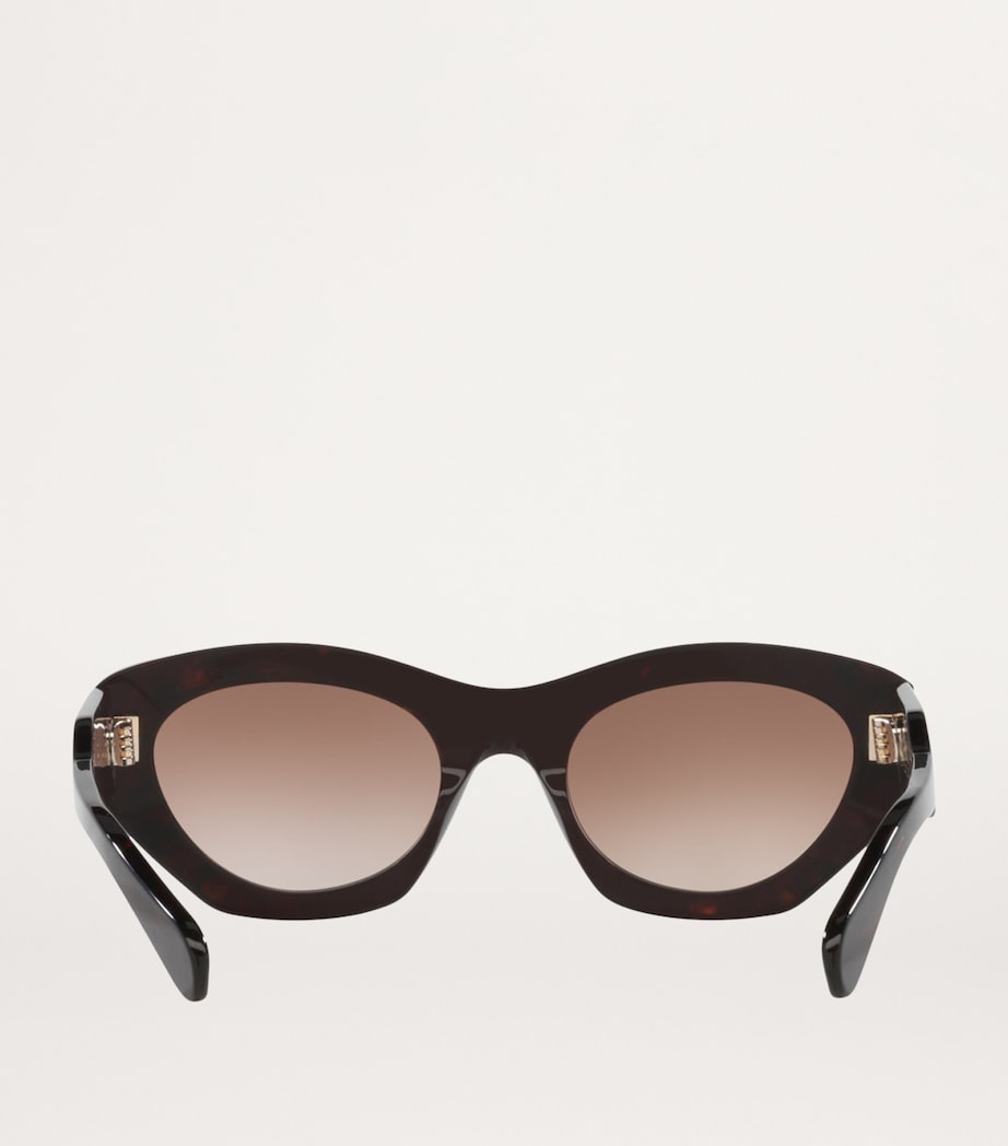 Acetate CH0220S Sunglasses 4510D1 Image 4