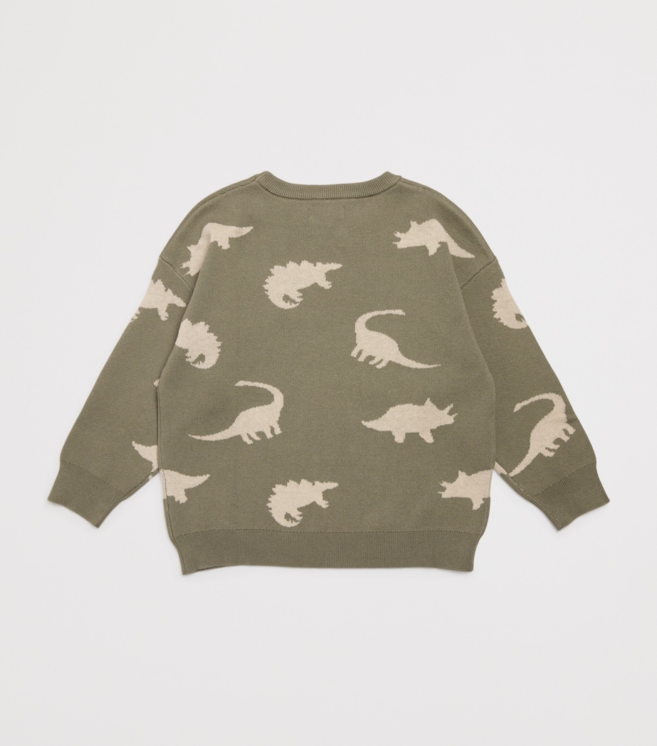 Organic Cotton Lapis Sweater (3 Months- 10 Years) DINO Image 2