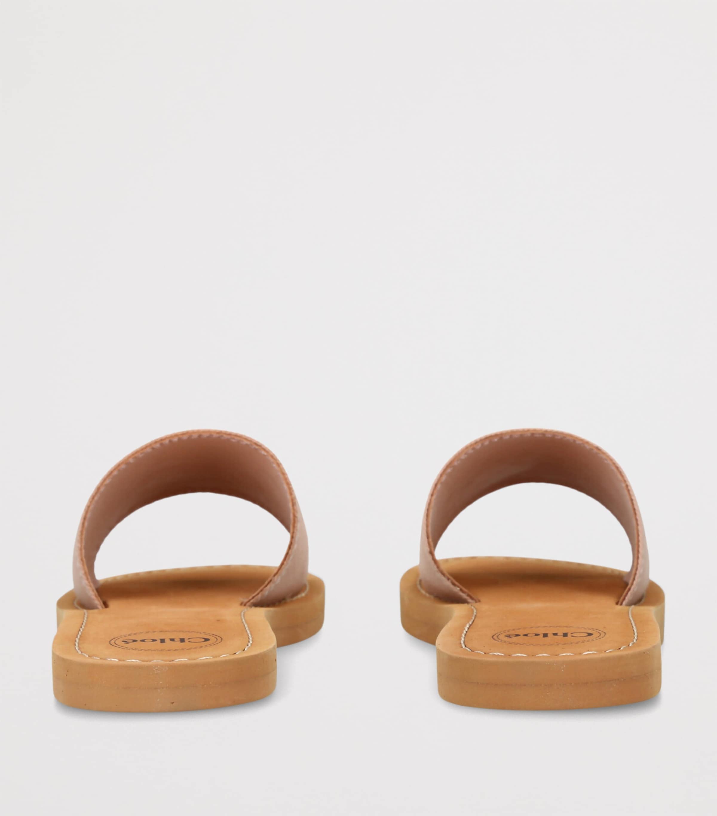 Canvas Logo Slides PALE PINK Image 2