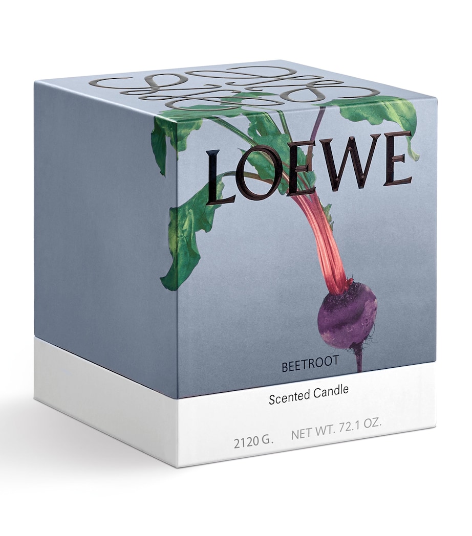 Large Beetroot Candle (2.12kg) NO COLOUR Image 5