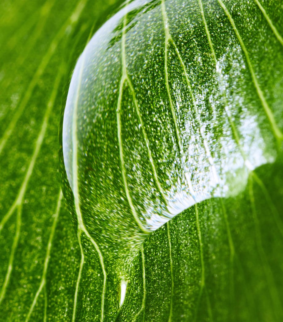 Ecological Compound Advanced Formula (125ml) NO COLOUR Image 5