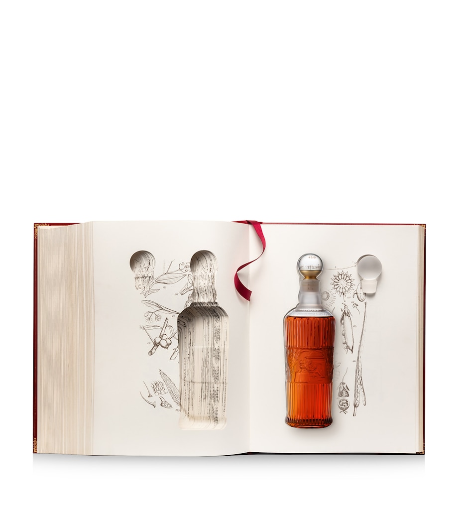 Tales of The Macallan Volume II 73-Year-Old Single Malt Whisky (70cl) NO COLOUR Image 5
