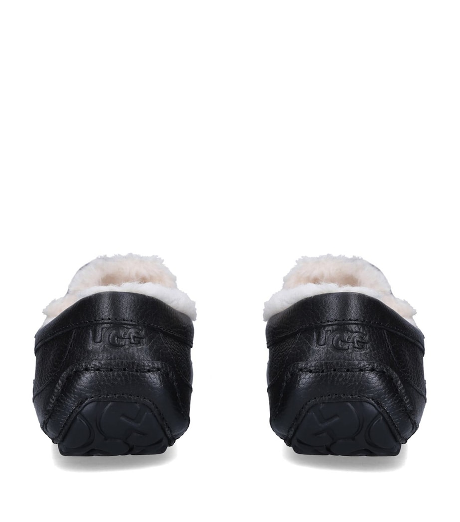 Ascot Slippers BLACK Image 2