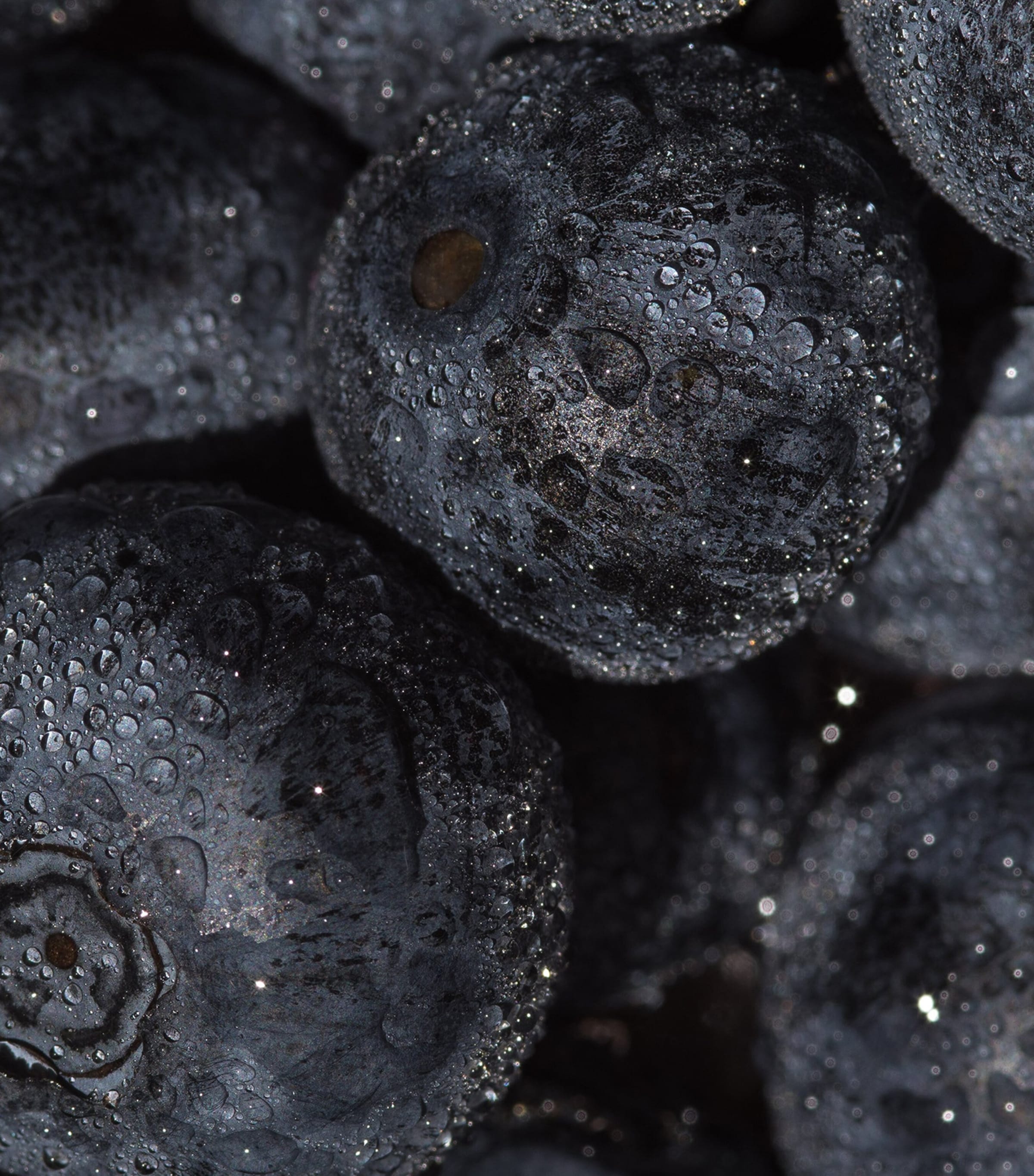 Bois Datchaï Eau de Parfum (100ml) NO COLOUR Image 4