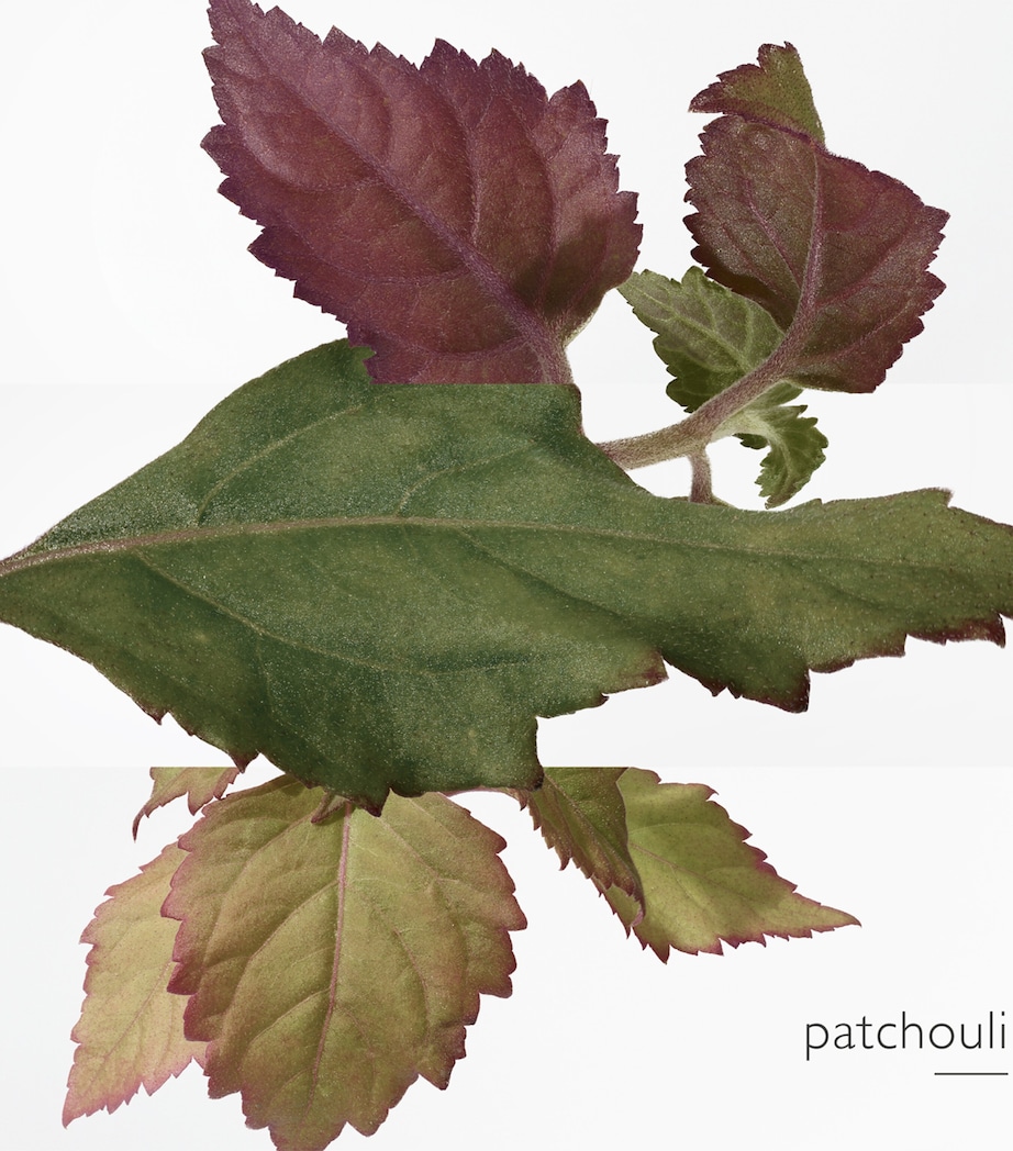 Elixir des Merveilles Eau de Parfum NO COLOUR Image 5